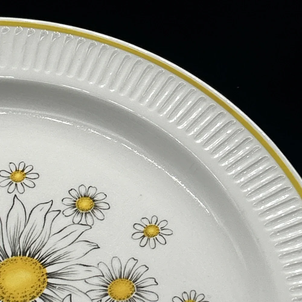 Vintage Atkins Ironstone Ware Daisy Japan 12